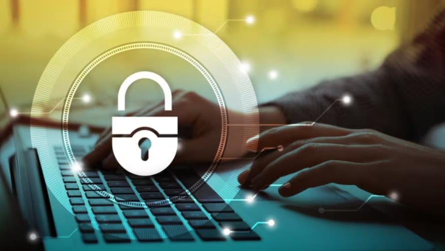 金城江区软件开发